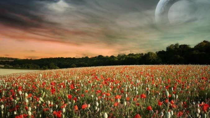 2025年，歼16与美军机50分钟缠斗，为什么知乎上没有任何消息？